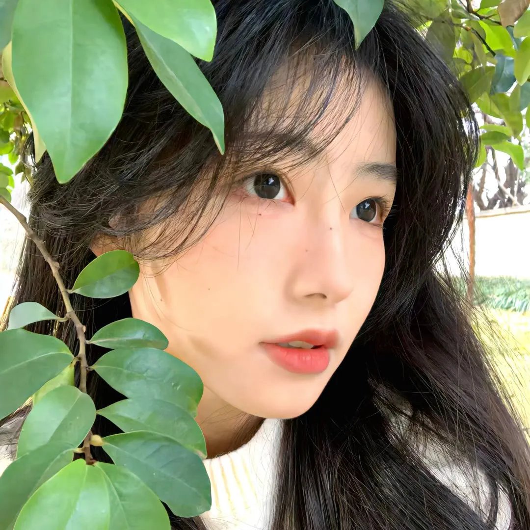 莫希怪物：电影